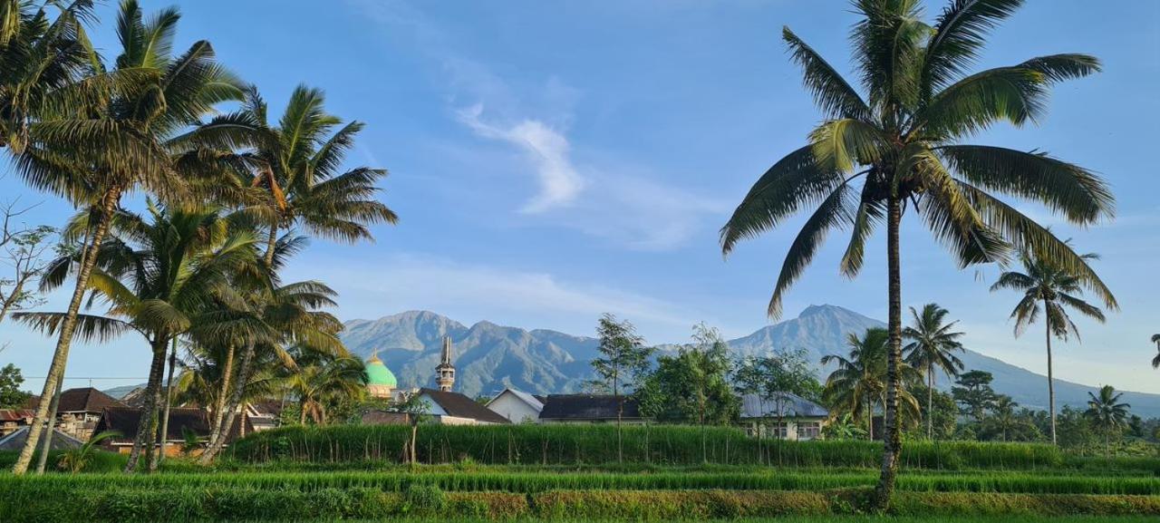 Girang Rinjani Bungalows 特特巴图 外观 照片