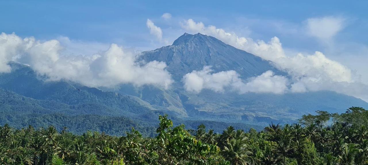 Girang Rinjani Bungalows 特特巴图 外观 照片
