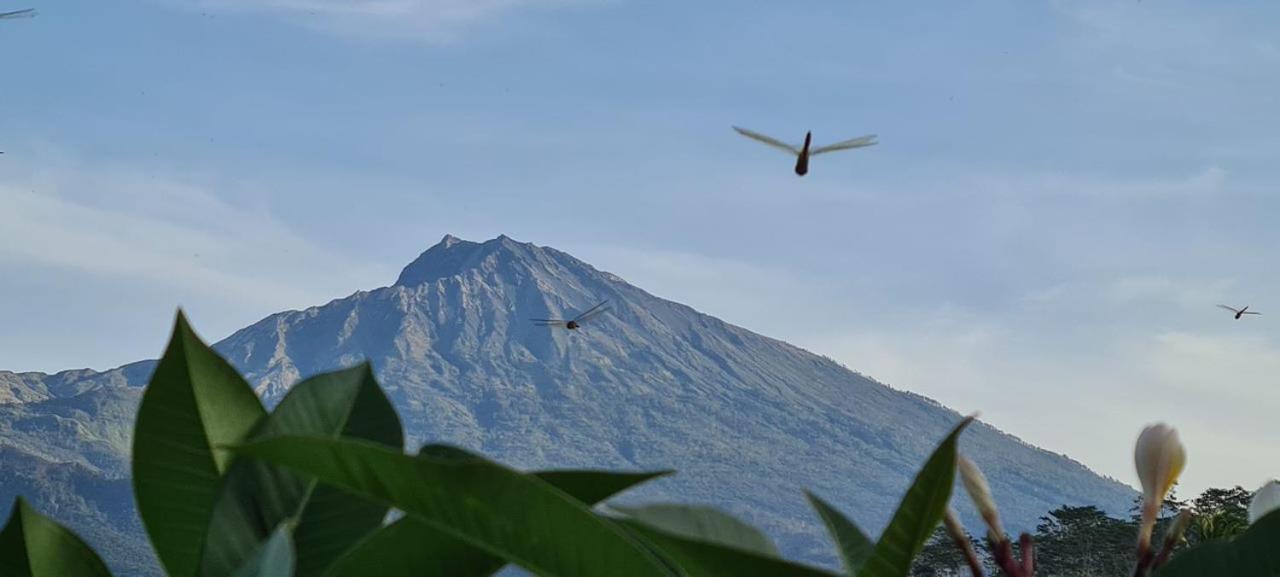 Girang Rinjani Bungalows 特特巴图 外观 照片