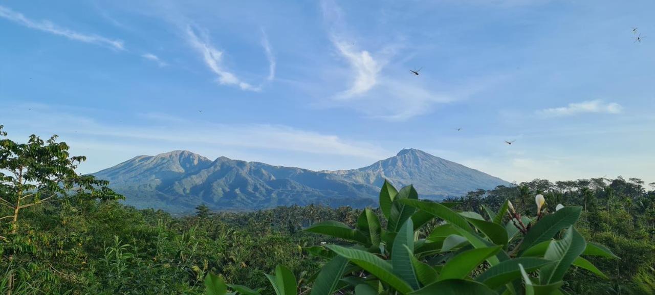 Girang Rinjani Bungalows 特特巴图 外观 照片