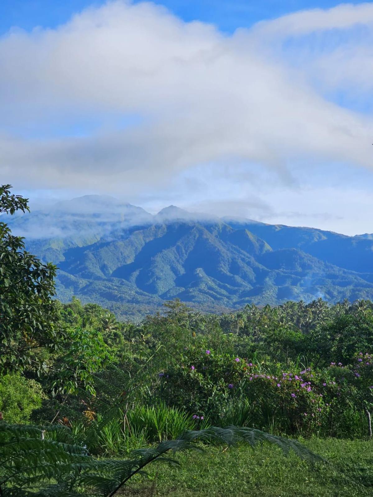 Girang Rinjani Bungalows 特特巴图 外观 照片