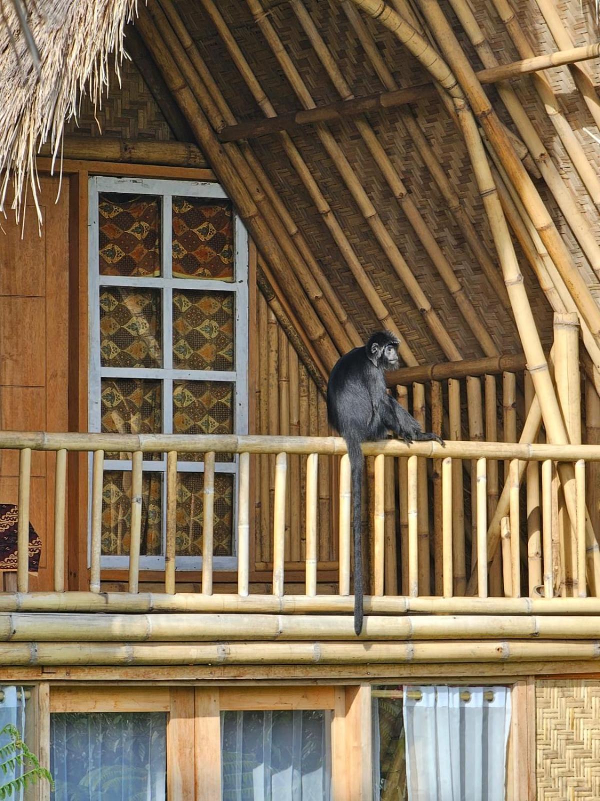 Girang Rinjani Bungalows 特特巴图 外观 照片